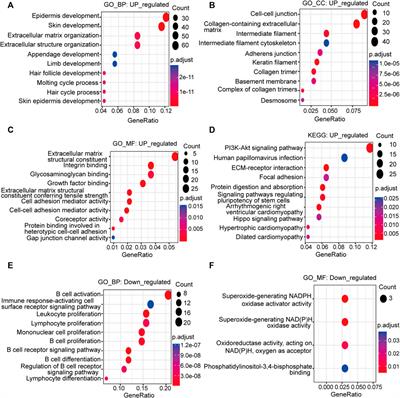 Integrated analysis of bulk and single-cell RNA sequencing reveals the interaction of PKP1 and tumor-infiltrating B cells and their therapeutic potential for nasopharyngeal carcinoma